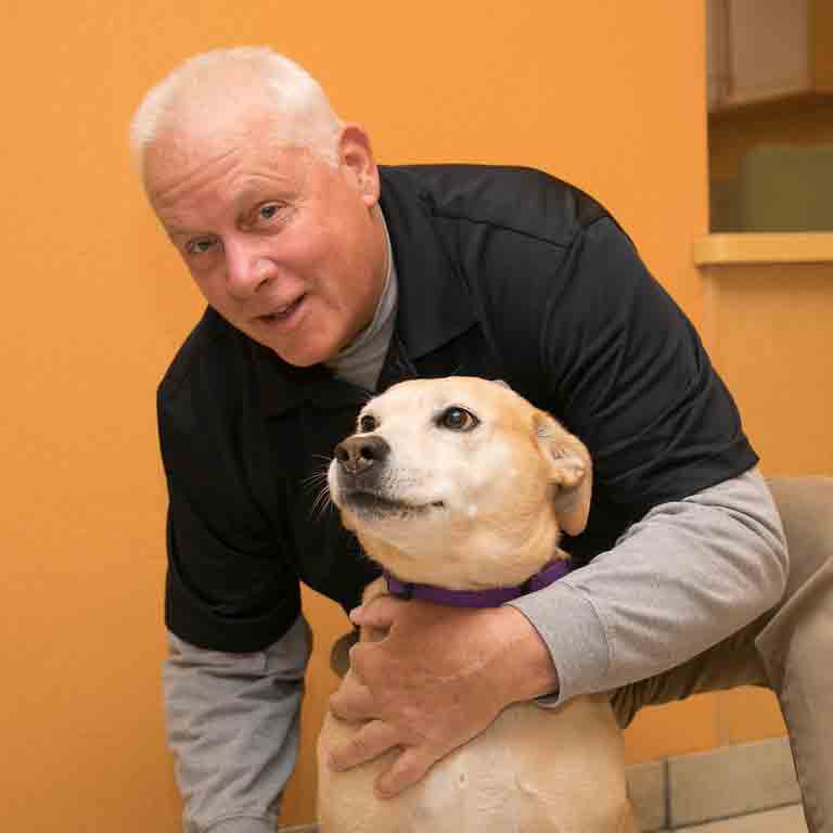 Monterey Peninsula CA Veterinary Hospital: Pet Wellness ...